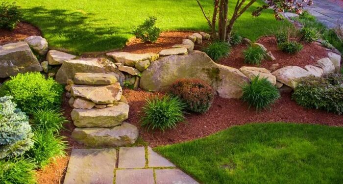 5 Cheap Landscaping Ideas When You’re On a Budget – Forbes Home
