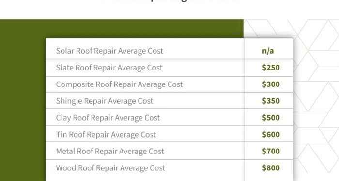 Roof Repair Cost Guide (2024 Update) | Roof Maxx